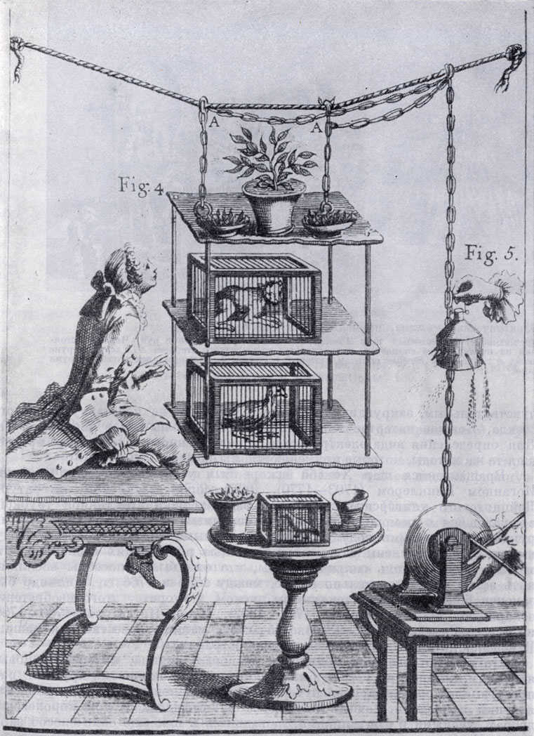 Опыты по электричеству, XVIII век