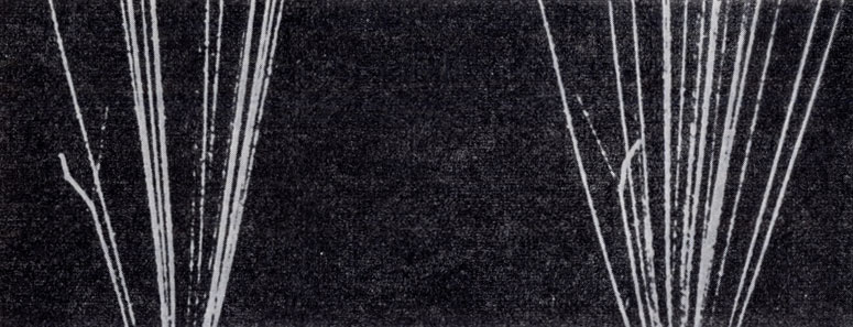 Две фотографии, полученные Бляккетом и показывающие вылет протона после соударения частицы с ядром азота. (Proceedings of the Royal Society of London, 1925.) Следы оставлены α-частищши, пролетающими камеру Вильсона. Слева на обеих фотографиях виден разветвляющийся след, обусловленный соударением частицы с ядром. Тонкая ветвь следа после соударения соответствует протону, испущенному ядром; более толстый след вызван новым ядром